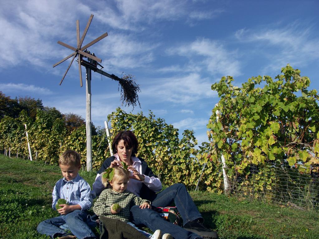 Weingut-Gaestehaus Birnstingl Gamlitz Bagian luar foto